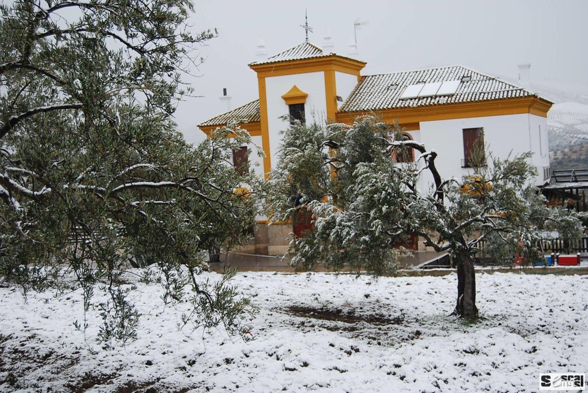 Casa Vagón Vía Verde de la Sierra Olvera Exterior foto
